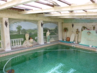 The delightful swimming pool