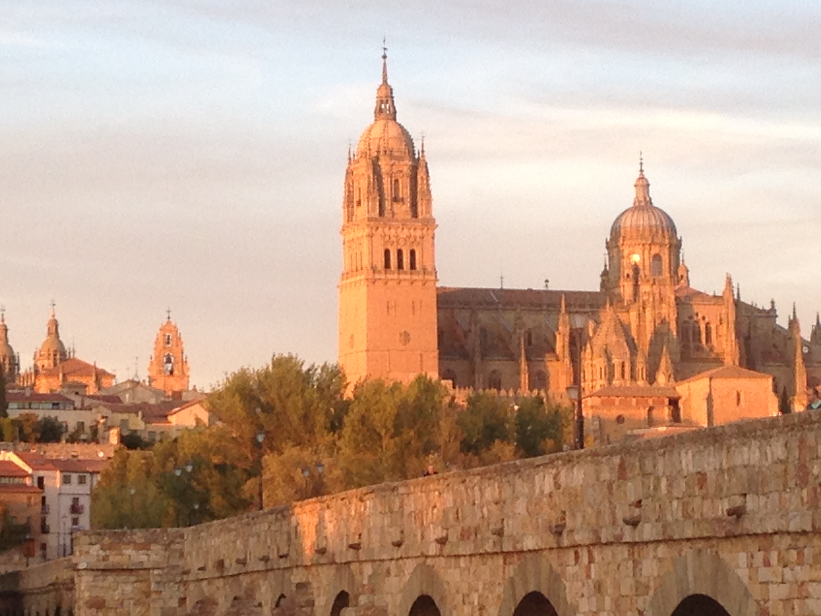 Evening view Salamanca