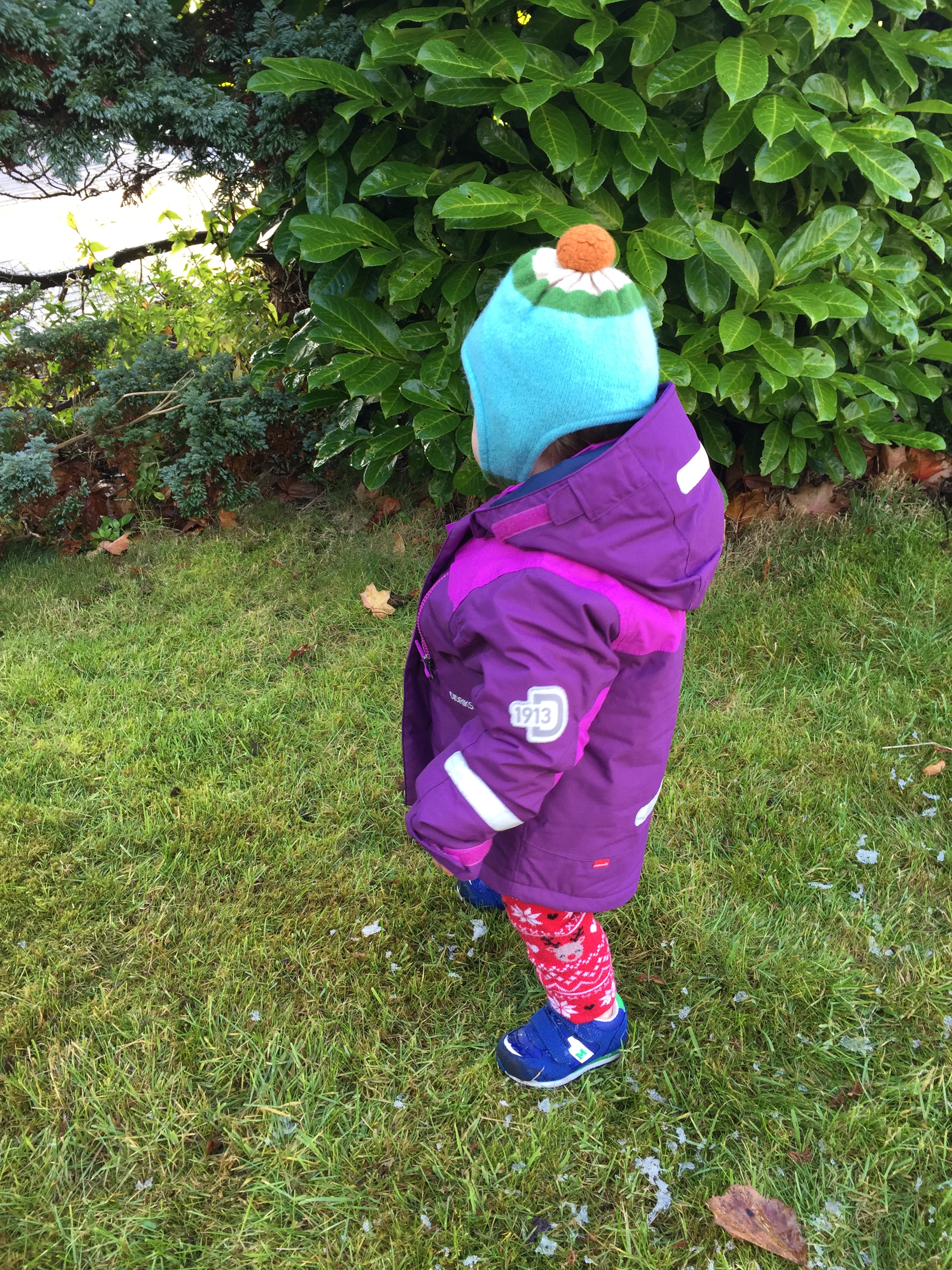 There are lots of jackets on the market for toddlers, but the Didriksons Hamres kids’ jacket not only offers warmth in abundance but is also waterproof. It even has bands on to help make it more visible in the evenings.
